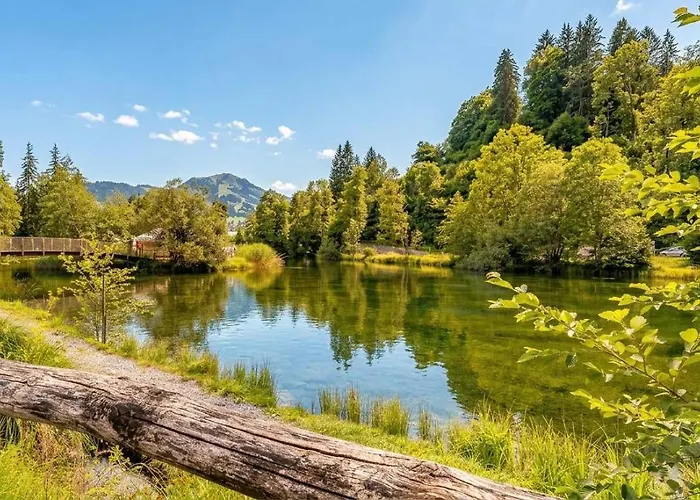 Tiny Water On A Gstaad & Interlaken