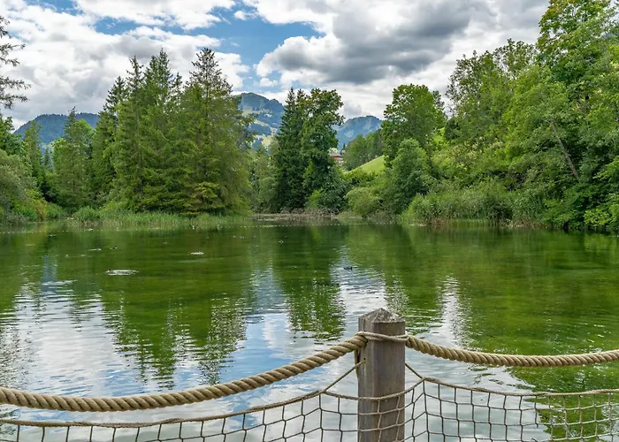 Tiny Water On A Gstaad & Interlaken Casa vacanze Zweisimmen