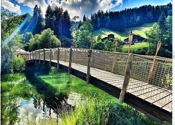 Tiny Water On A Gstaad & Interlaken * ツヴァイジンメン
