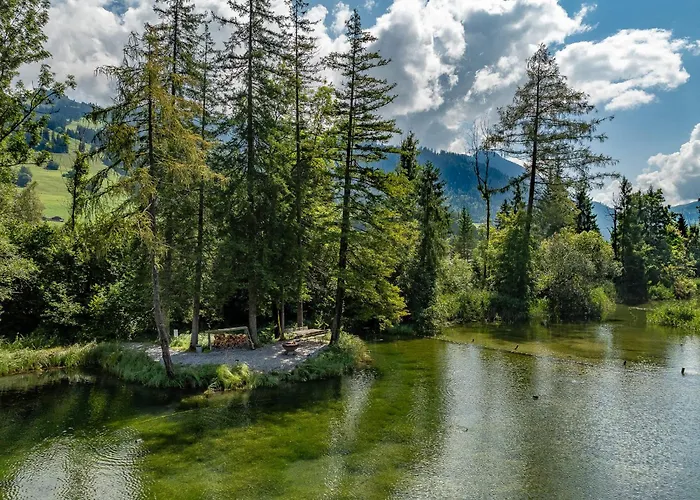 Dom wakacyjny Tiny Water On A Gstaad & Interlaken Zweisimmen